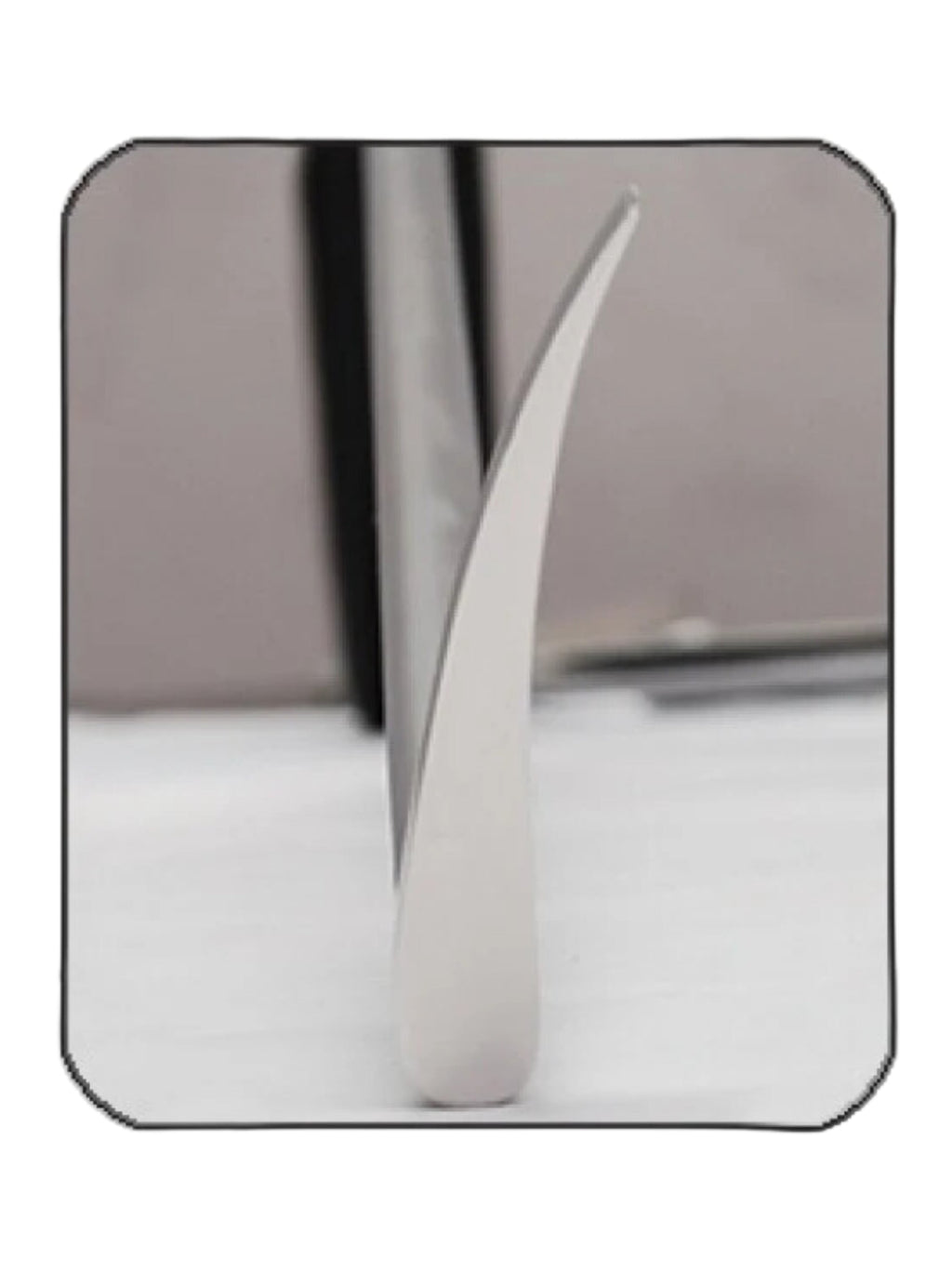 Ramzan Equine Periodontal Elevators Set