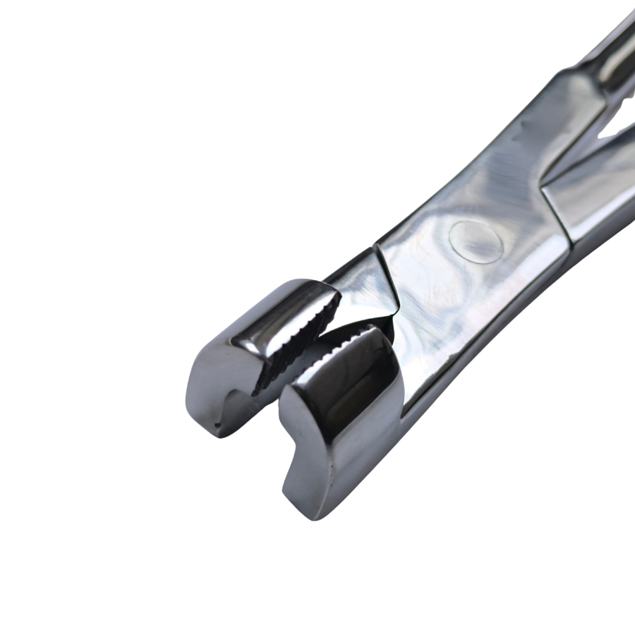 Molar Serrated Jaw Pony Forceps 12"