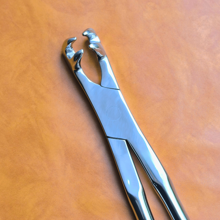 Four Prong 21" Equine Dental Forceps