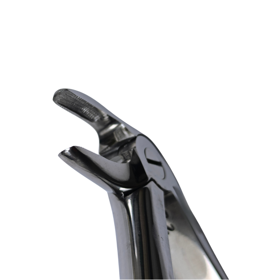 Dental Extraction 90° Curved Forceps 6" (Closed)