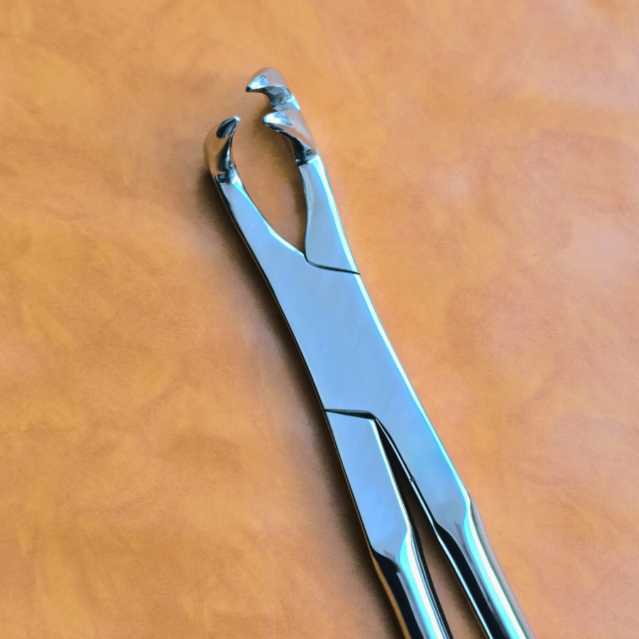 Three Prong Off Side 21" Equine Dental Forceps
