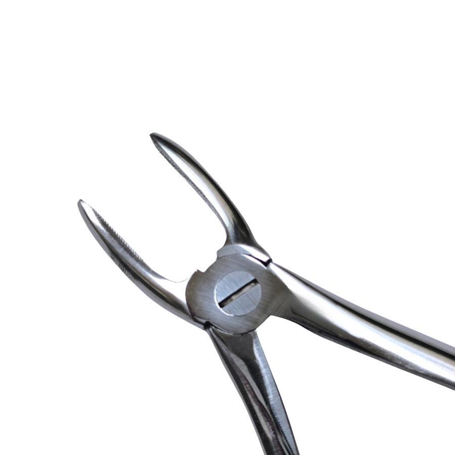 Dental Extraction Straight Forceps 7" (Closed)