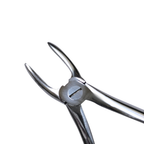 Dental Extraction Straight Forceps 7" (Closed)