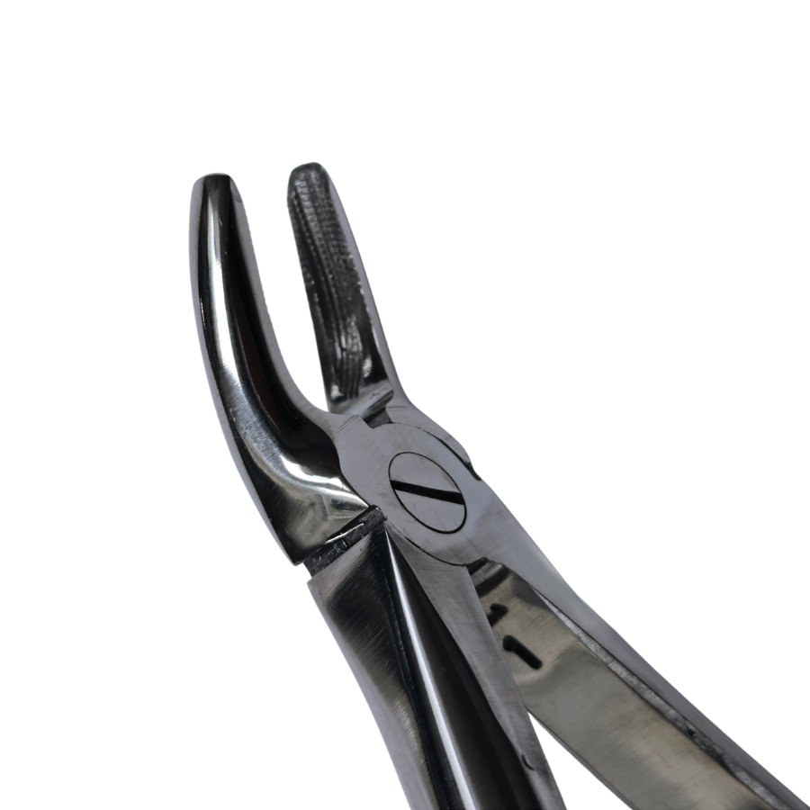 Dental Extraction Curved Forceps 7"