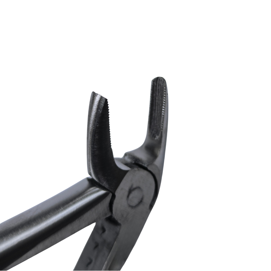 Dental Extraction 45° Curved Forceps 8" (Open)