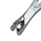 4 Prong Pony Forceps 12"