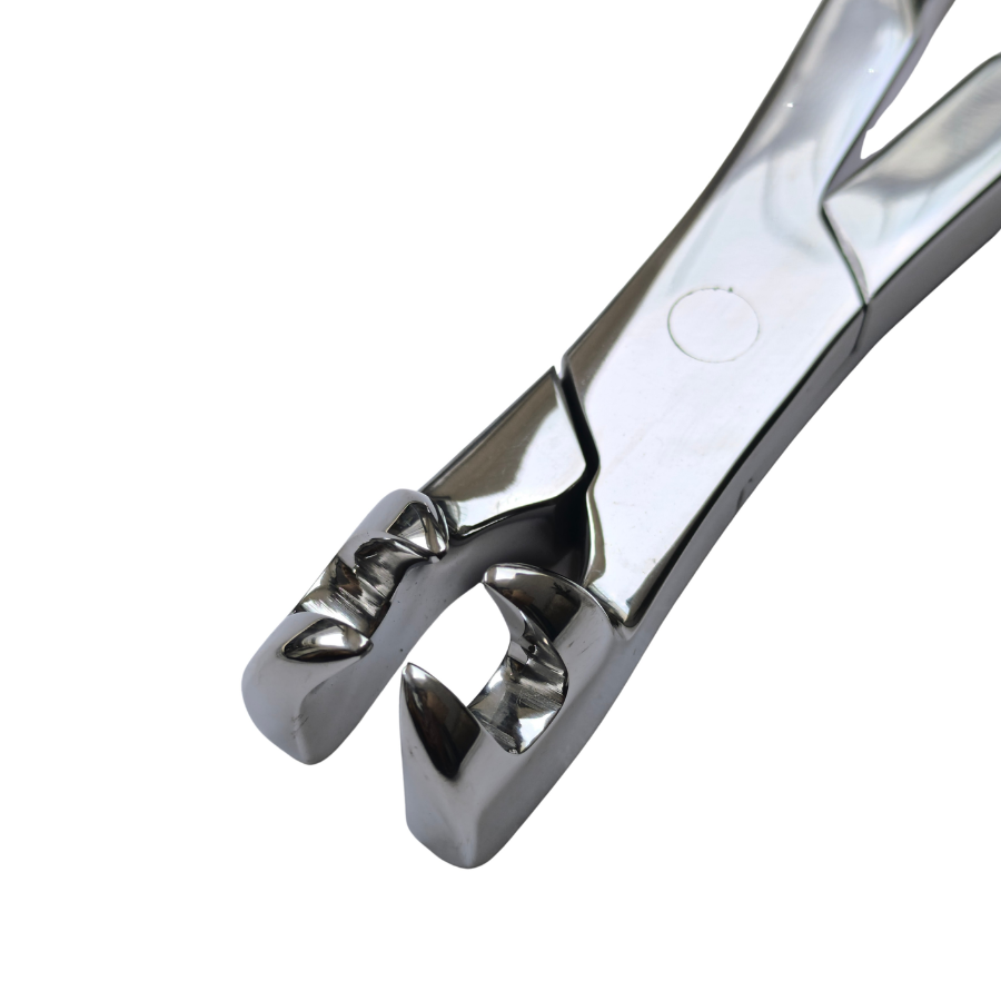 4 Prong Pony Forceps 12"
