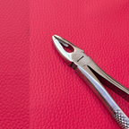 Curved Small Forceps 7″