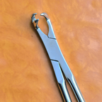 Three Prong On Side 21" Equine Dental Forceps