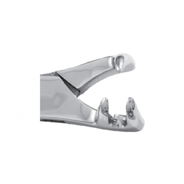 Premium Equine Dental Forceps Three Prong On Side 21" Secondary image