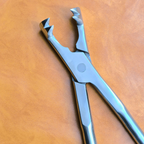 4 Prong Pony Forceps 15"