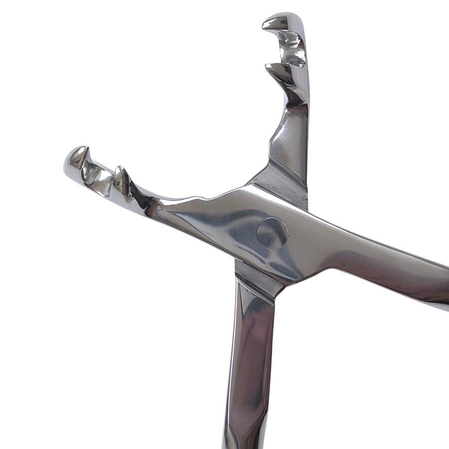 4 Prong Pony Forceps 12"