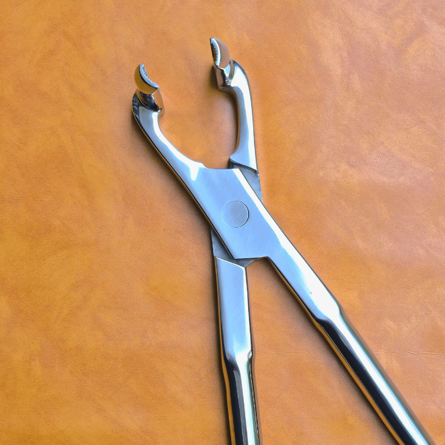 Long Nose 21" Equine Dental Forceps