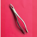 Curved Incisor Tooth Forceps 7″