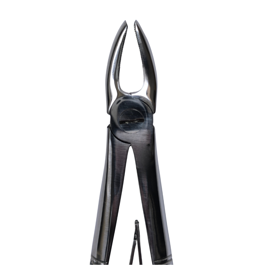 Dental Extraction Straight Forceps 7" (Open)