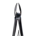 Dental Extraction Straight Forceps 7" (Open)