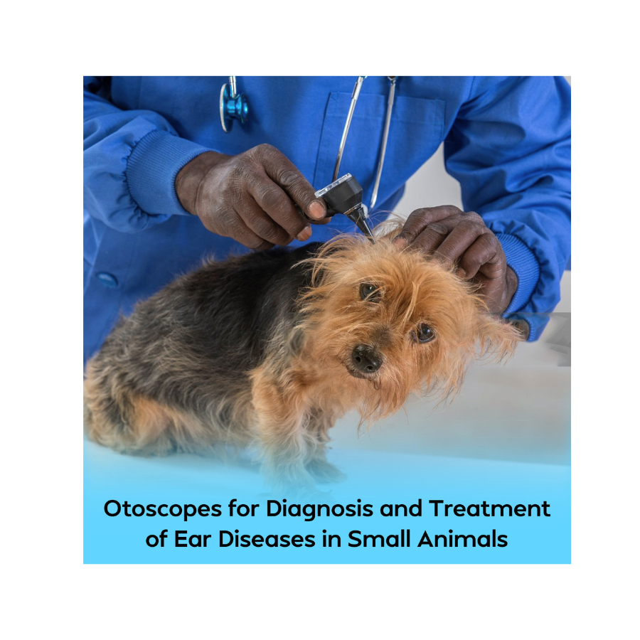 Veterinary Diagnostic Set | Otoscope & Ophthalmoscope