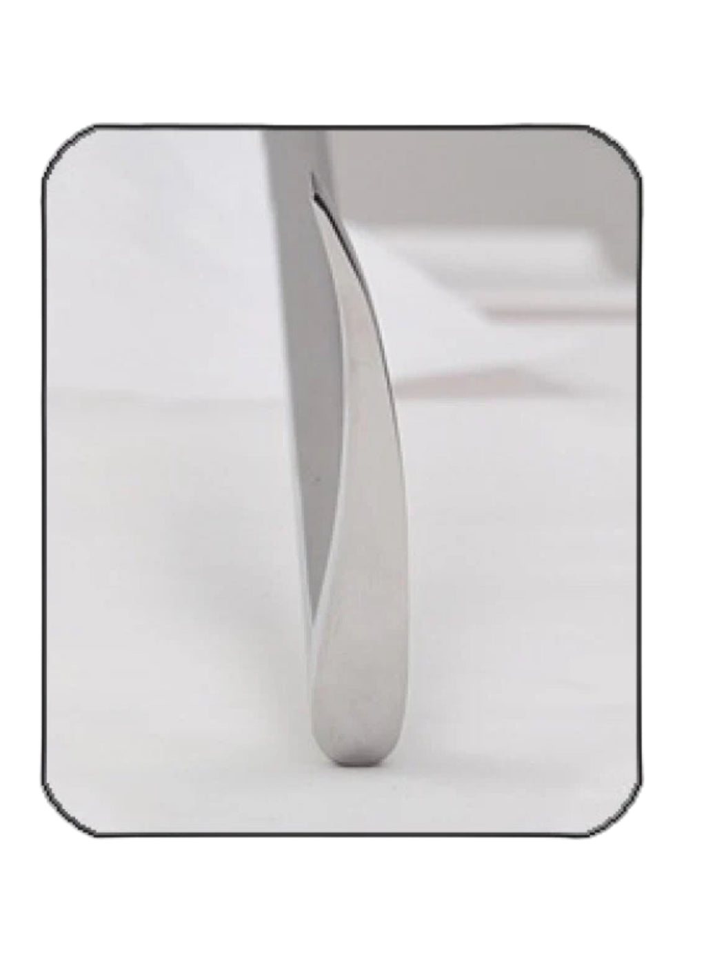 Ramzan Equine Periodontal Elevators Set