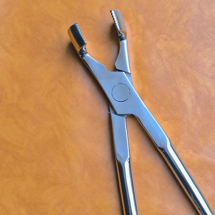 Molar Equine Dental Forceps 21"