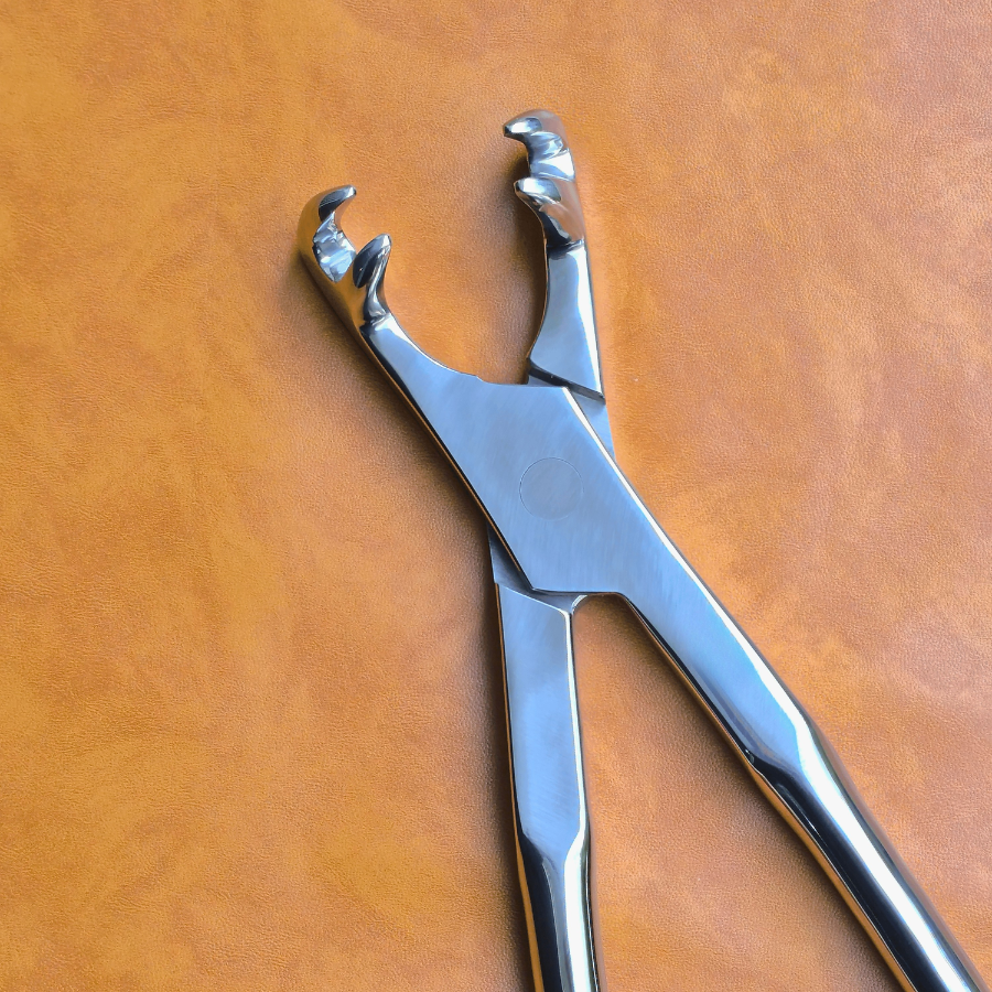 Four Prong 21" Equine Dental Forceps