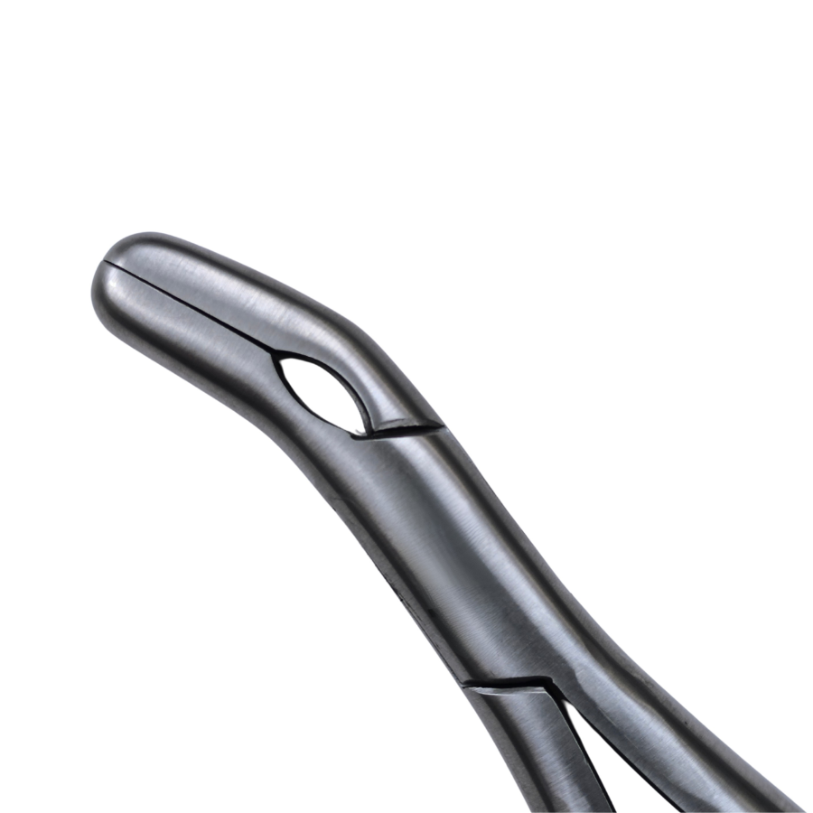 Dental Gouge Forceps 45°, 8"