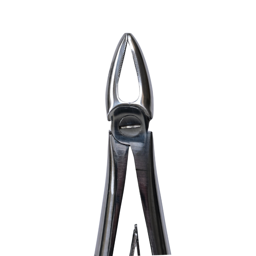 Dental Extraction Straight Forceps 7" (Closed)