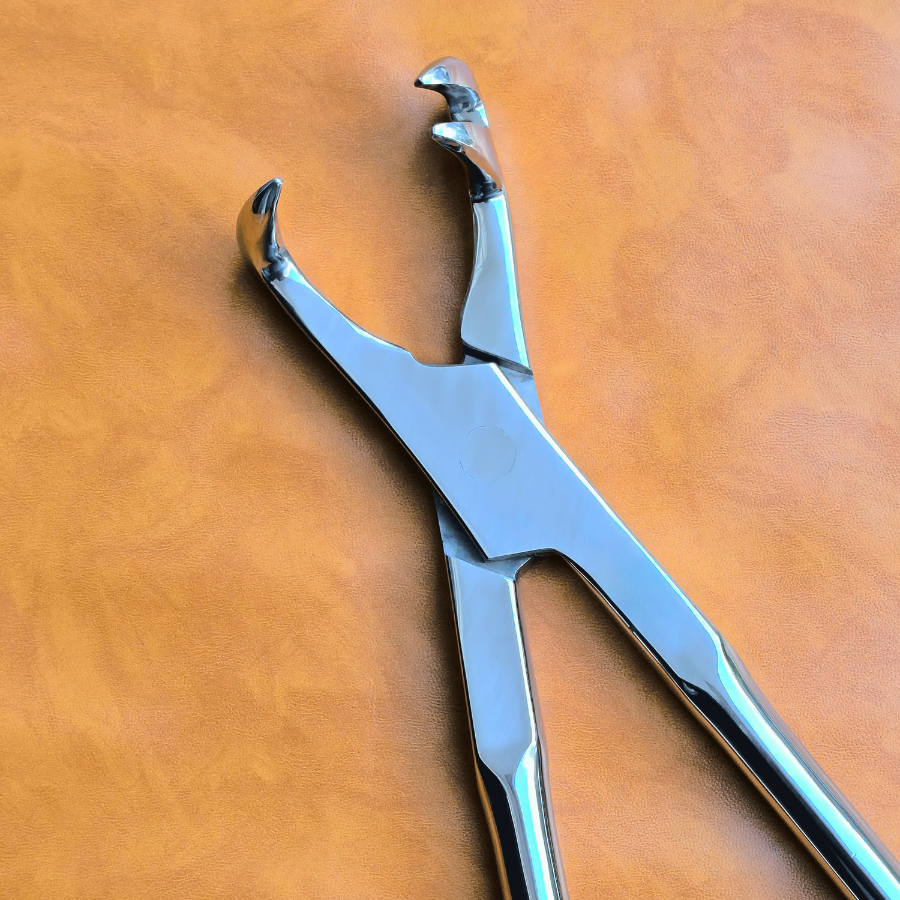 Three Prong Off Side 21" Equine Dental Forceps