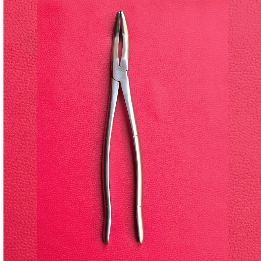 Wolf Teeth Forceps Large