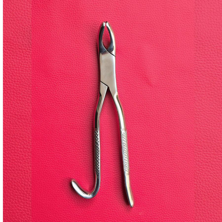 Wolf Tooth Forceps 9.5"
