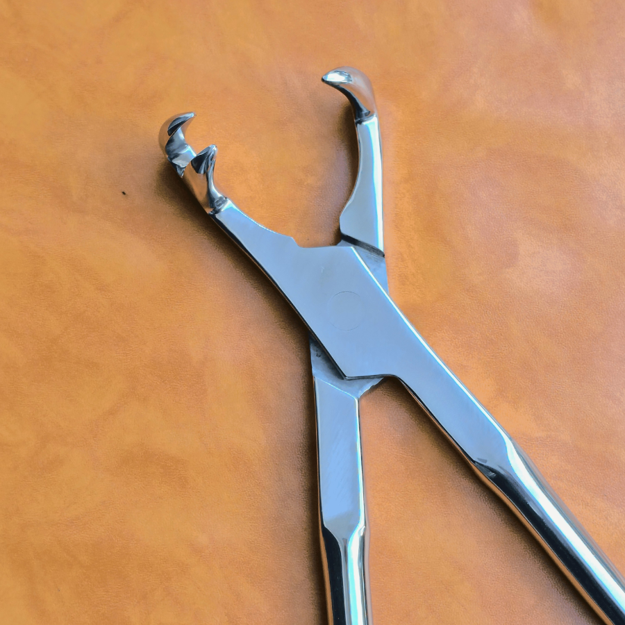 Three Prong On Side 21" Equine Dental Forceps