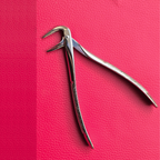 Turned Head Beak Extraction Forceps 6″