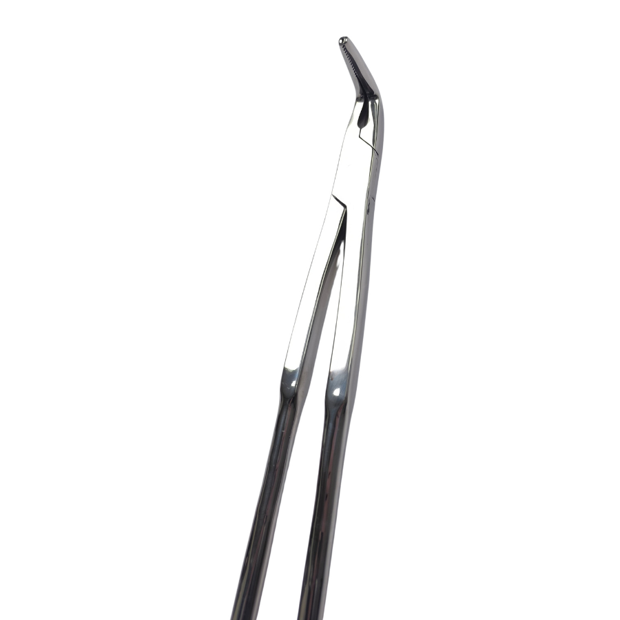 Long Nose Fragment 19" Equine Dental Forceps