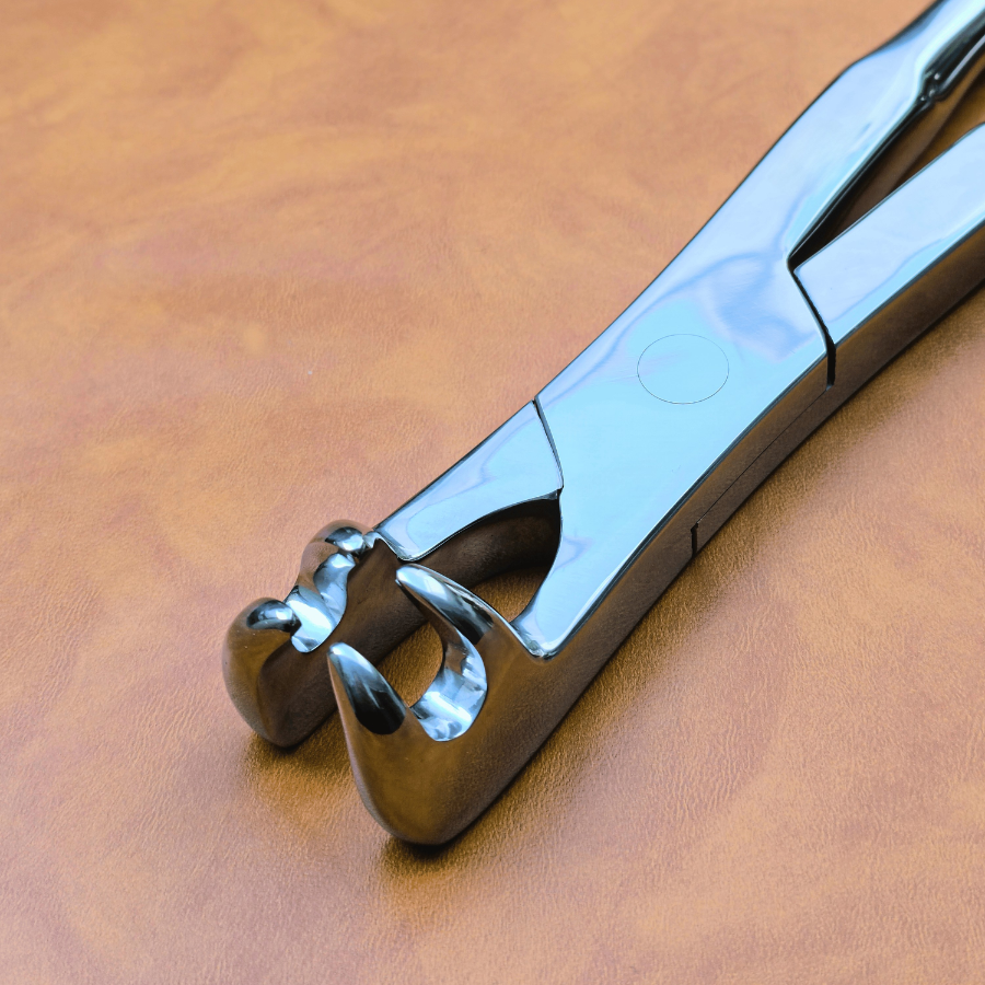 Four Prong 21" Equine Dental Forceps