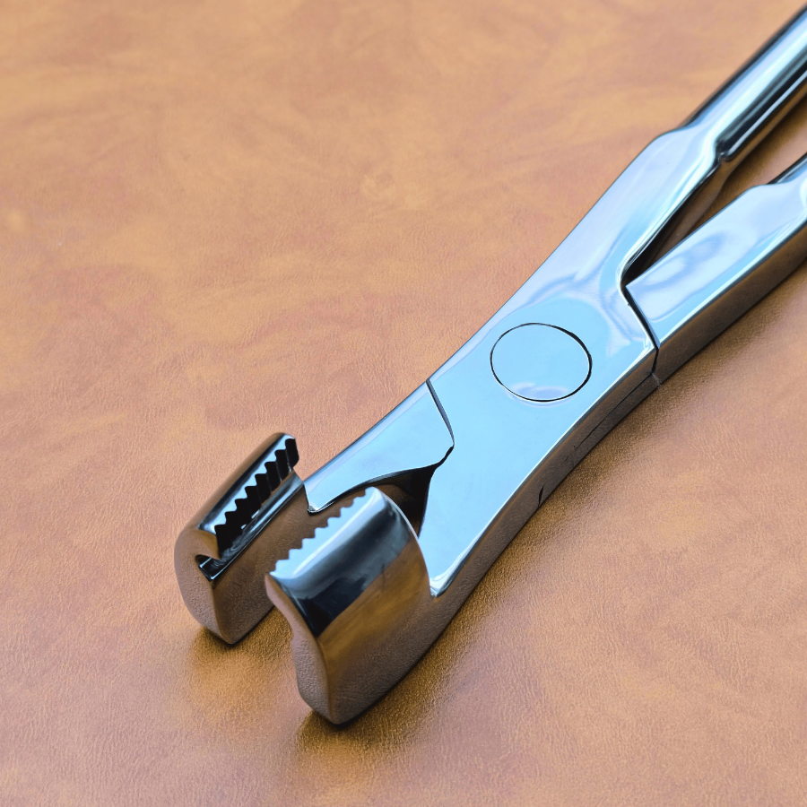 Molar Equine Dental Forceps 21"