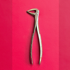 Turned Head Beak Extraction Forceps 6″