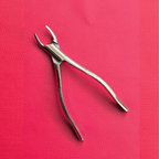 Curved Incisor Tooth Forceps 7″