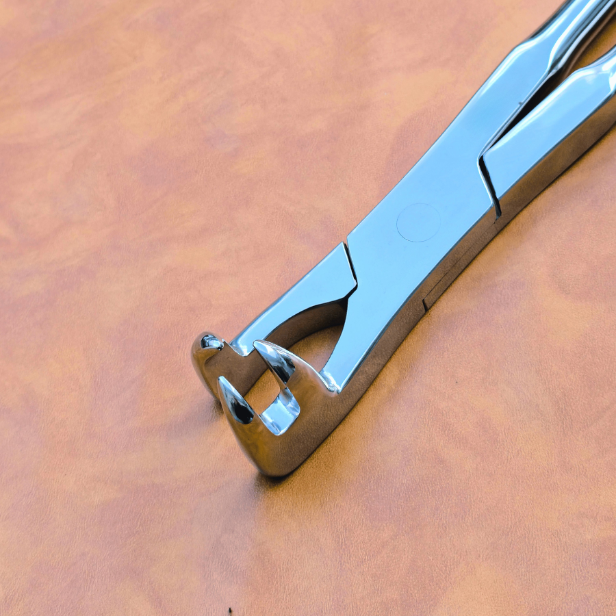 Three Prong On Side 21" Equine Dental Forceps