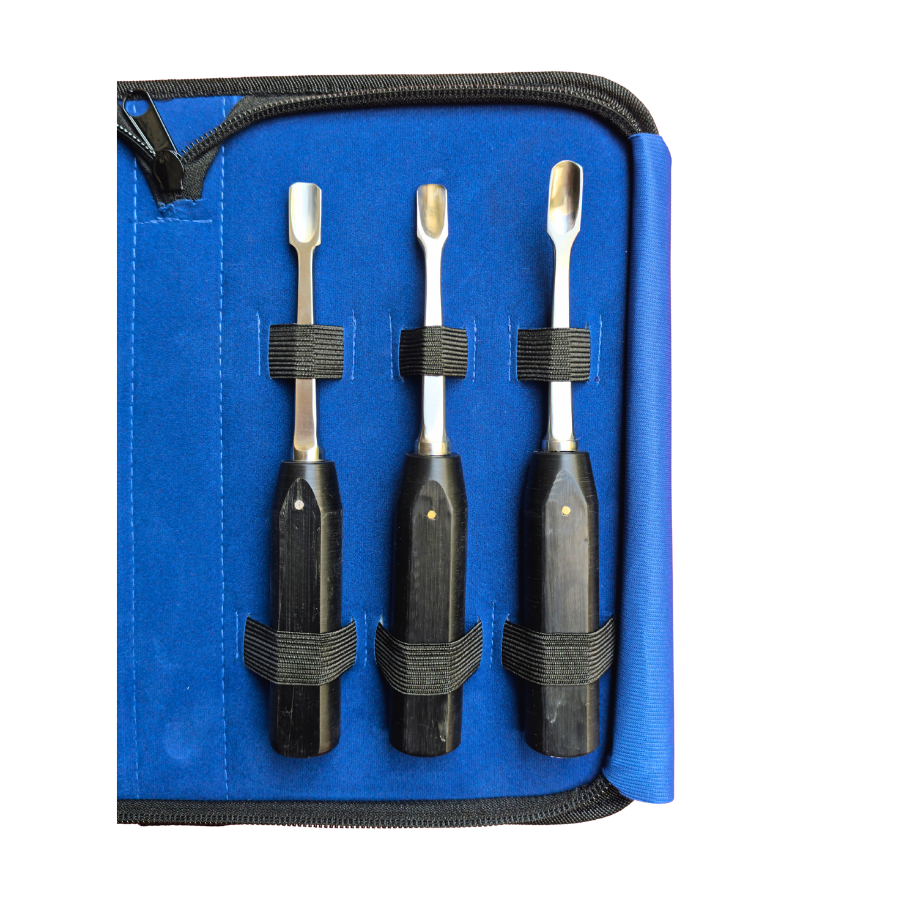 Extraction Dental Elevator Set