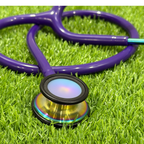 Yasco Classic III Stethoscope – Purple Colour