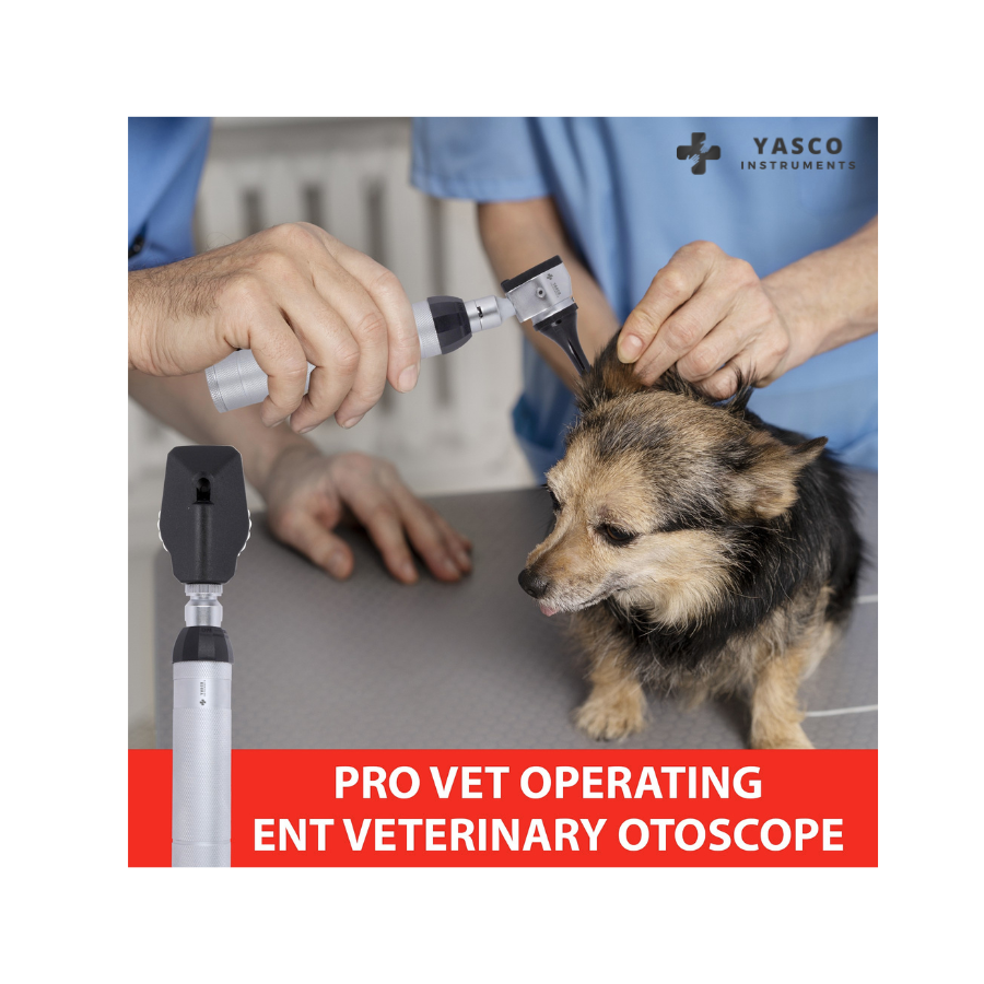 Veterinary Diagnostic Set | Otoscope & Ophthalmoscope