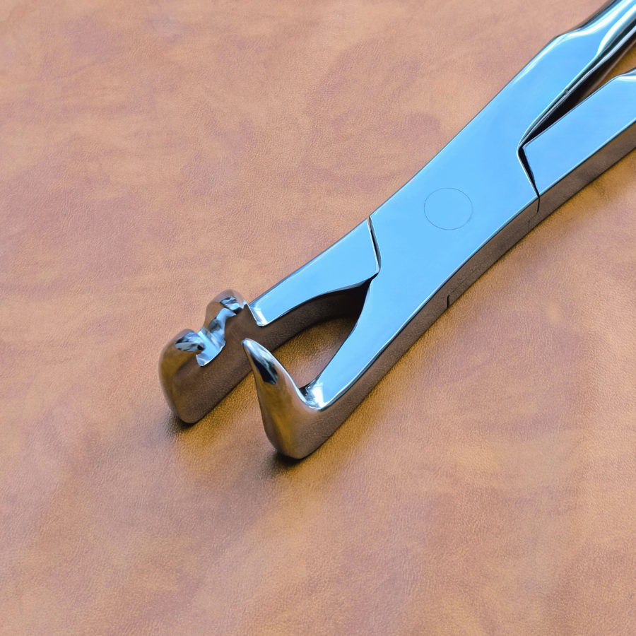 Three Prong Off Side 21" Equine Dental Forceps