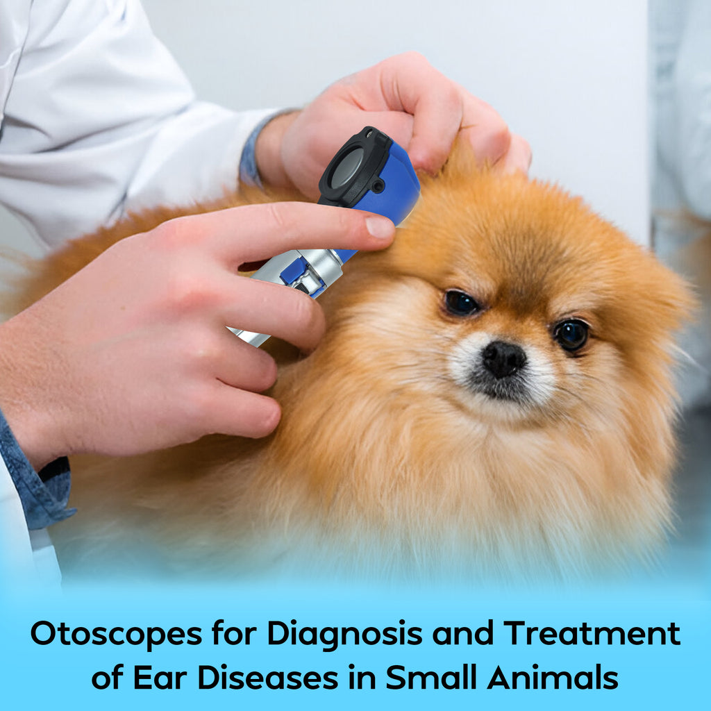 Fiber Optic Mini Otoscope Set - Navy Blue