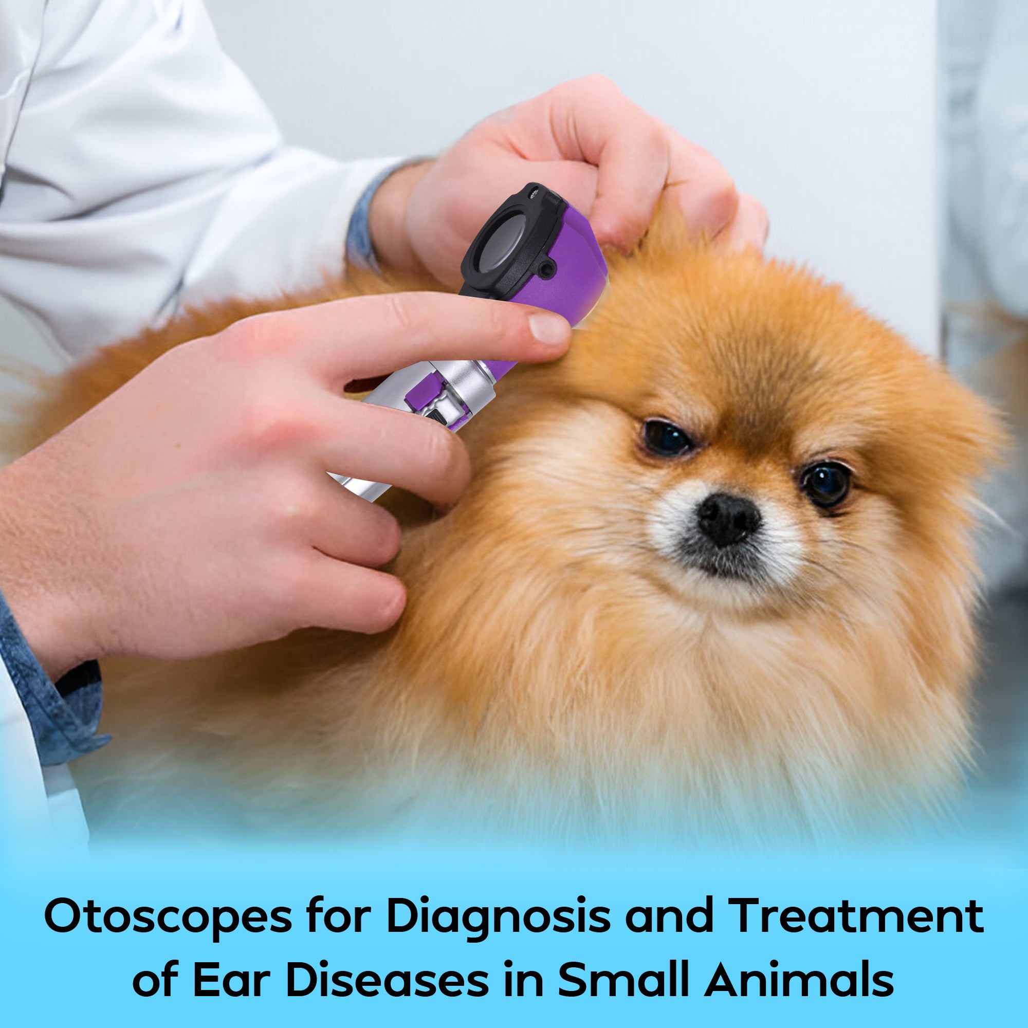 Fiber Optic Mini Otoscope Set - Purple