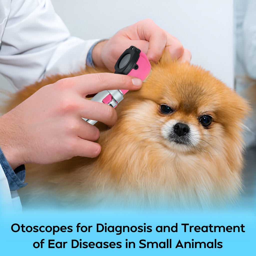 Fiber Optic Mini Otoscope Set - Pear Pink