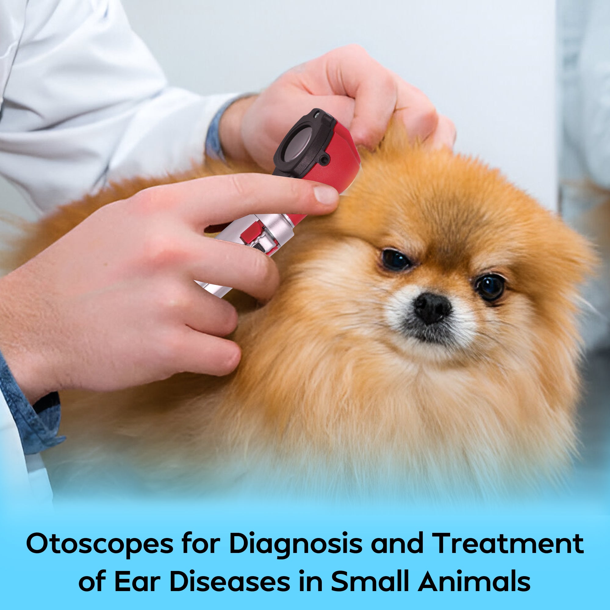 Fiber Optic Mini Otoscope Set - Red