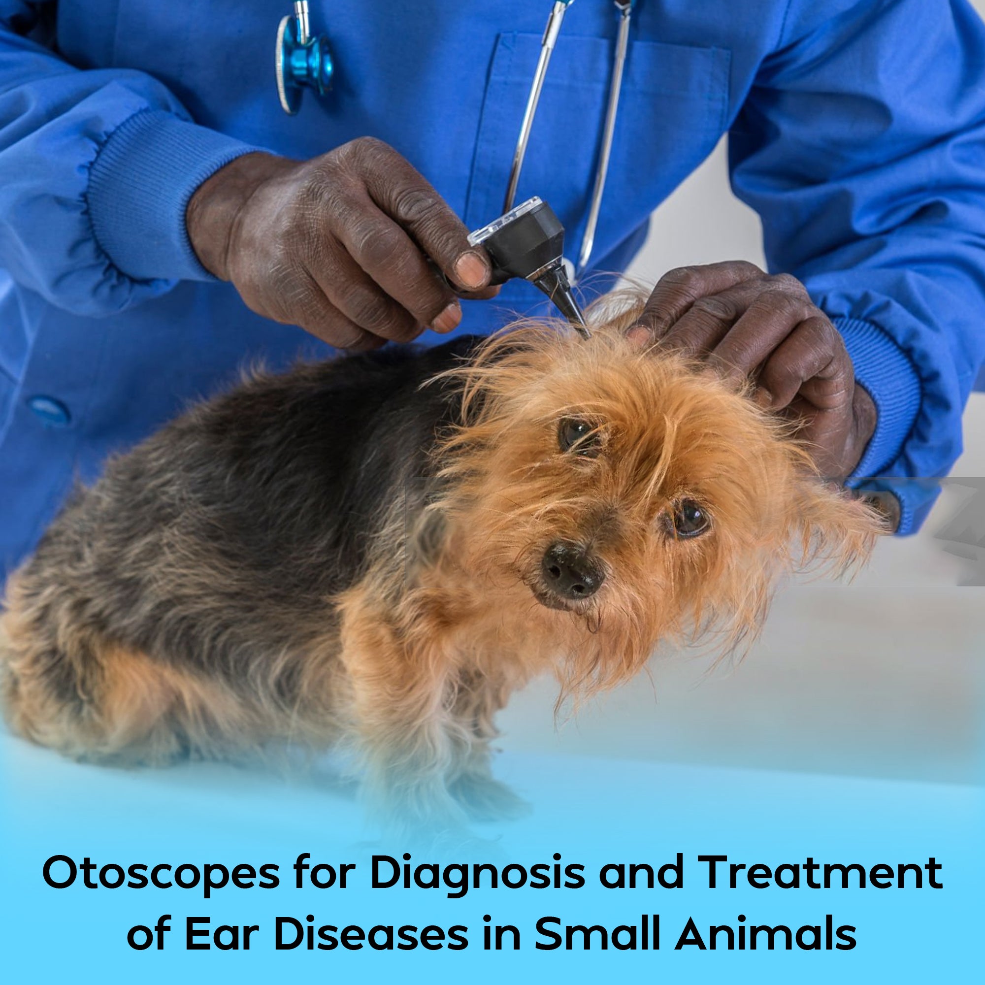 Veterinary Ophthalmoscope & Otoscope Diagnostic Set