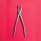 Wolf Teeth Forceps Large