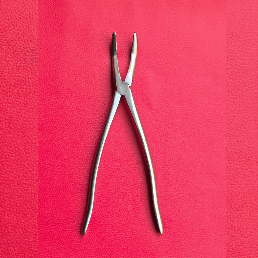 Wolf Teeth Forceps Large