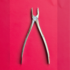 Curved Small Forceps 7″