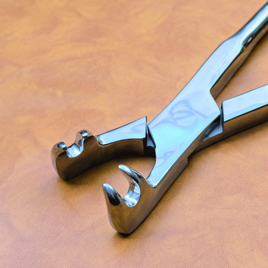 Four Prong 21" Equine Dental Forceps